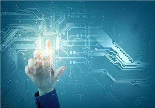 吳中區(qū)口碑佳、價(jià)格優(yōu)的系統(tǒng)開(kāi)發(fā)與互聯(lián)網(wǎng)信息技術(shù)服務(wù)